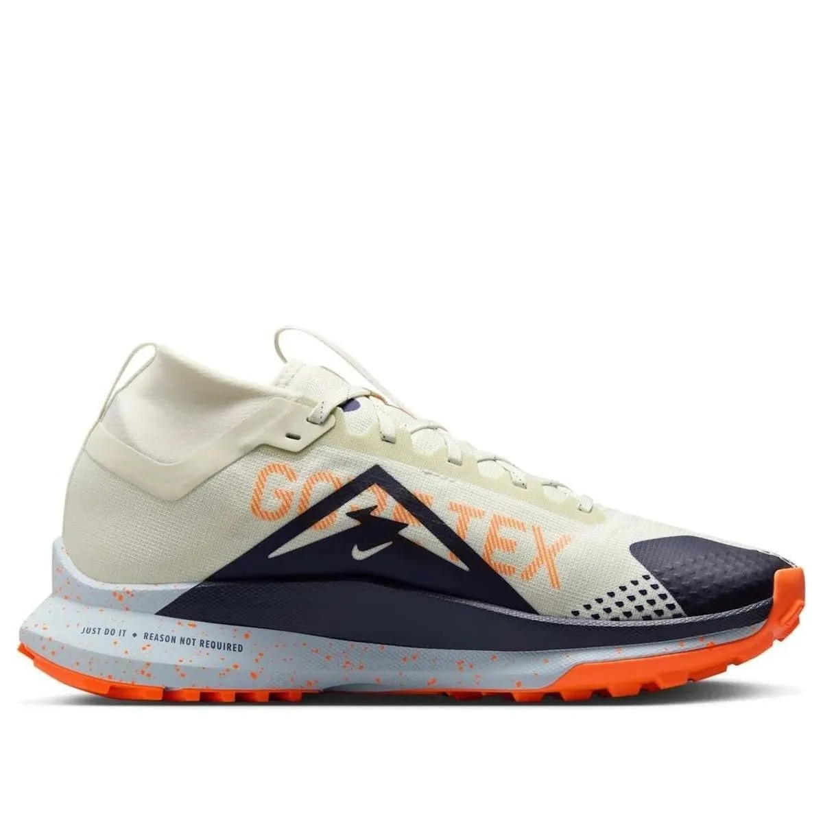 Nike Pegasus Trail 4 GTX scarpe trail uomo Gore-Tex