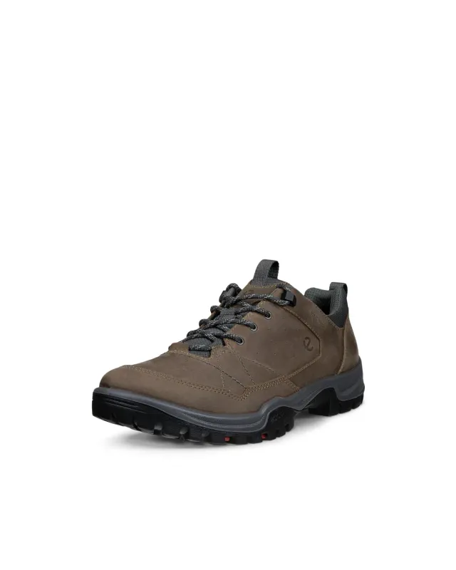 Ecco Receptor Trekk scarpe hiking marroni uomo 43 EU