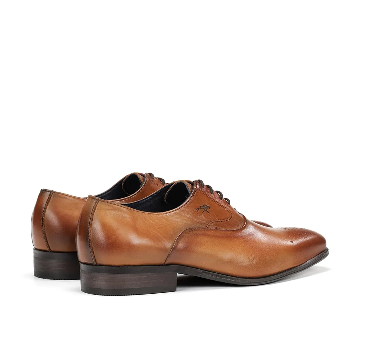 Fluchos Cesar F0404 scarpe marroni uomo cerimonia