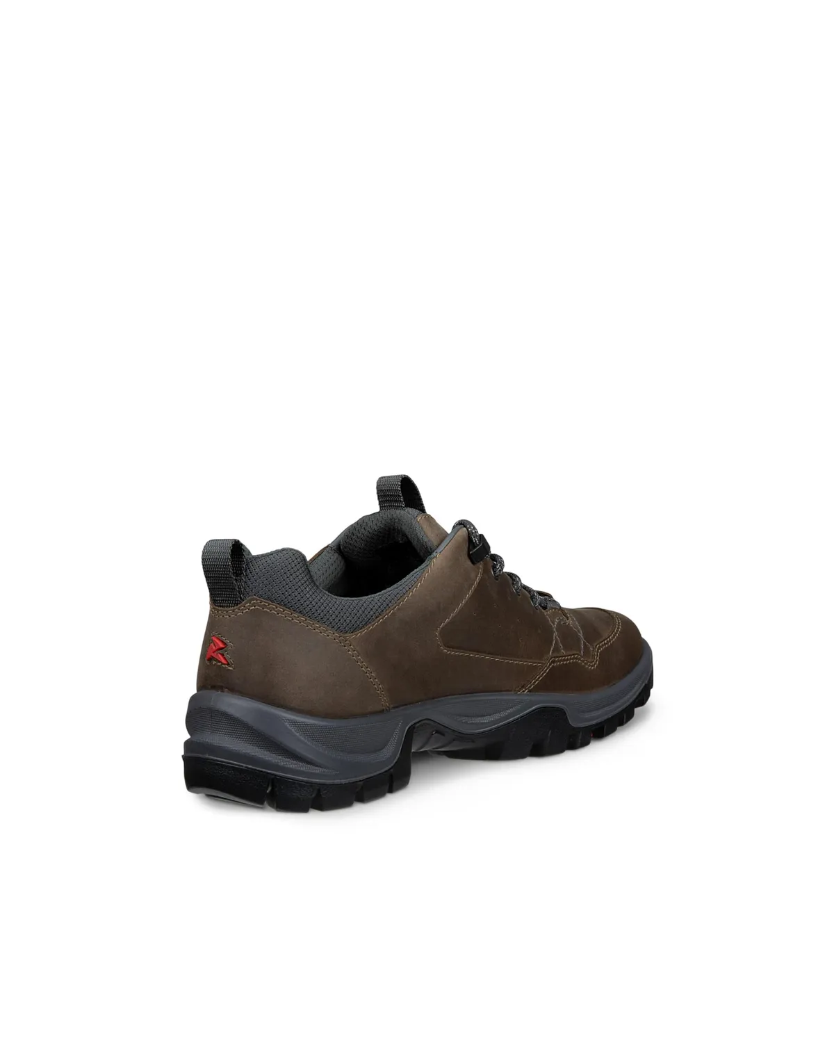 Ecco Receptor Trekk scarpe hiking marroni uomo 43 EU