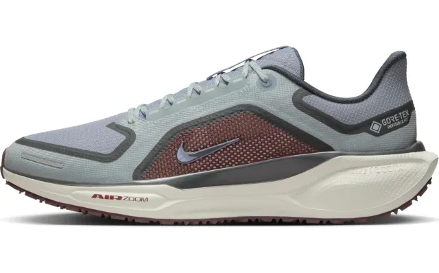 Nike Pegasus 41 Gore-Tex running uomo 43 impermeabile